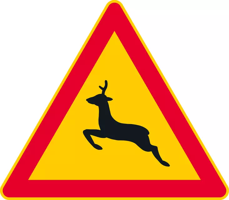 A20.3 KAURISELÄIN - A Varoitusmerkit - 100144P - 1