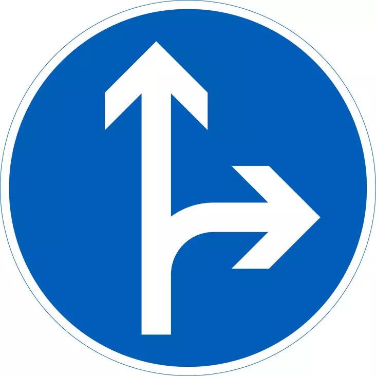 D1.6 PAKOLLINEN AJOSUUNTA - D Määräysmerkit - 100738P - 1