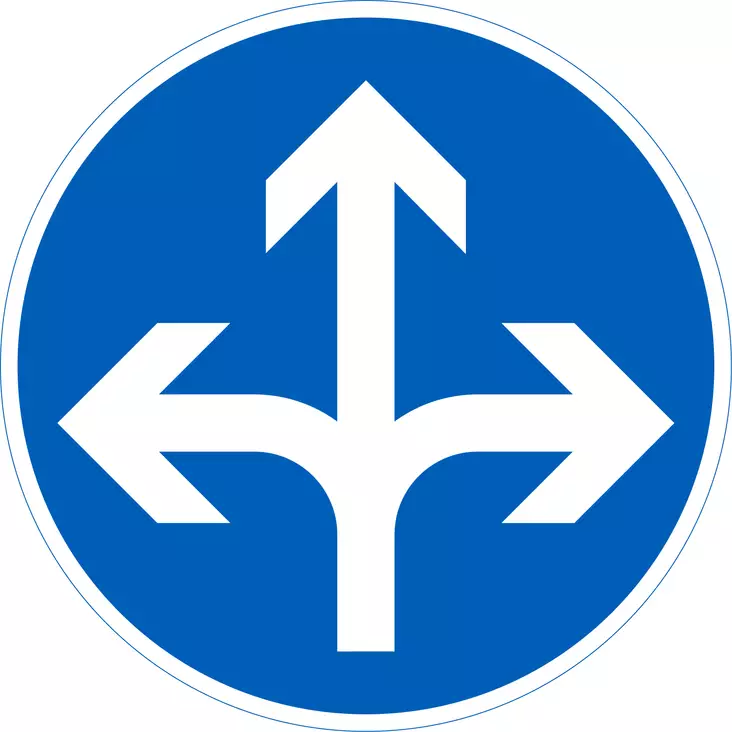 D1.9 PAKOLLINEN AJOSUUNTA - D Määräysmerkit - 100780P - 1